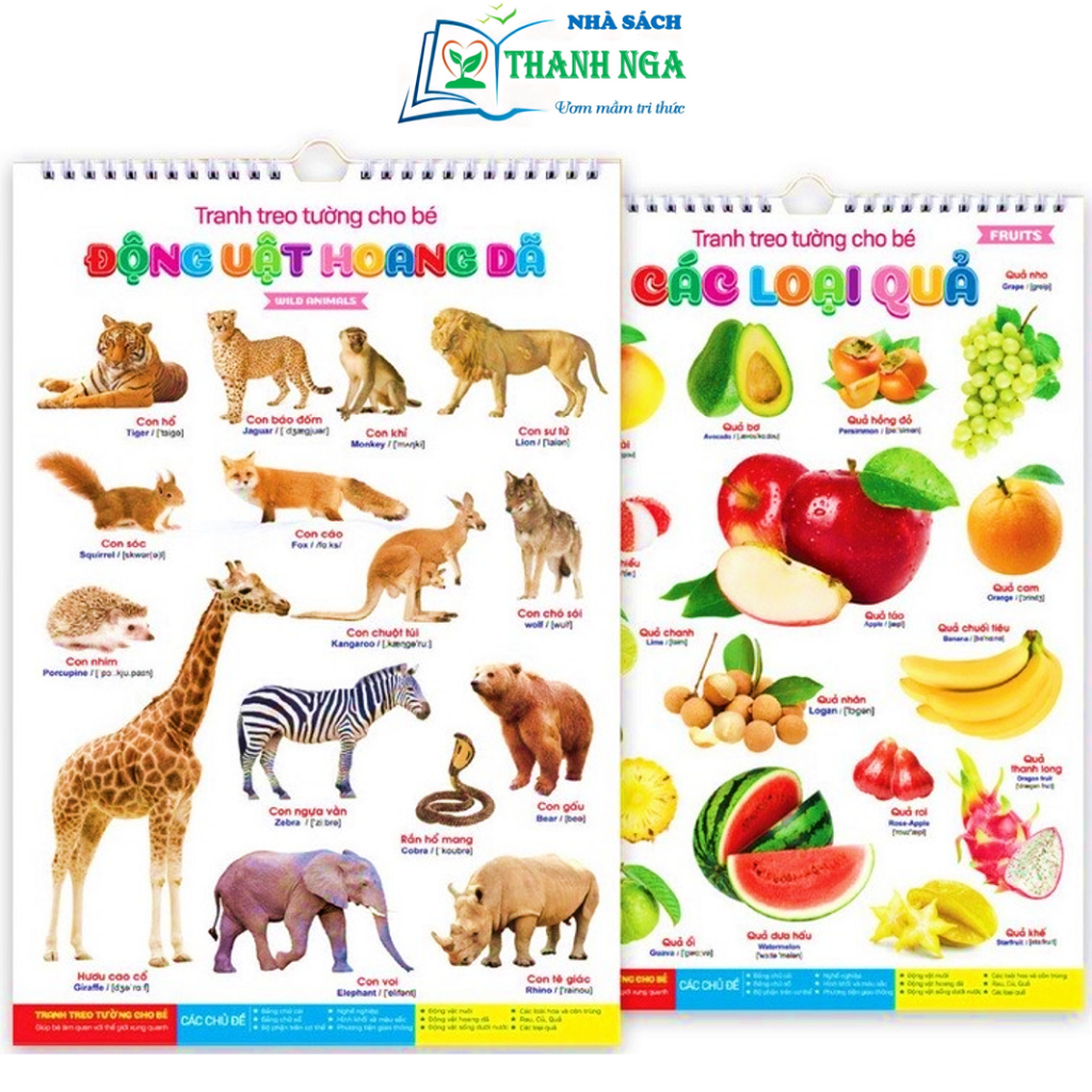 Sách – Tranh Treo Tường 14 Chủ Đề Cho Bé – Giúp Bé Khám Phá Thế Giới Và Các Sự Vật Quanh Mình  (Bộ 12 Trang – 14 Chủ Đề)