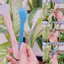 Cọ quét mặt nạ - Cọ silicon - Cọ peel da