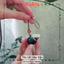 Thú Gỗ Hảo Vận - Cá Voi Đàn Hương - Kiểu Omamori Nhật, Có sẵn, Quà tặng ý nghĩa.