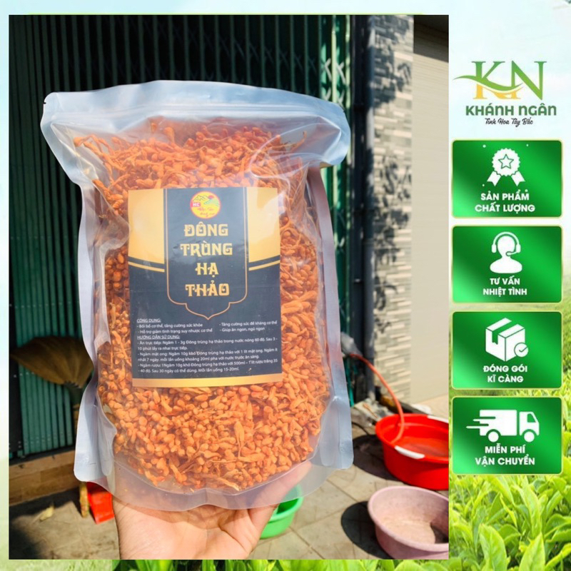 Đông trùng hạ thảo sấy khô bồi dưỡng cơ thể hỗ trợ sức khỏe làm đẹp (date mới 500gr)