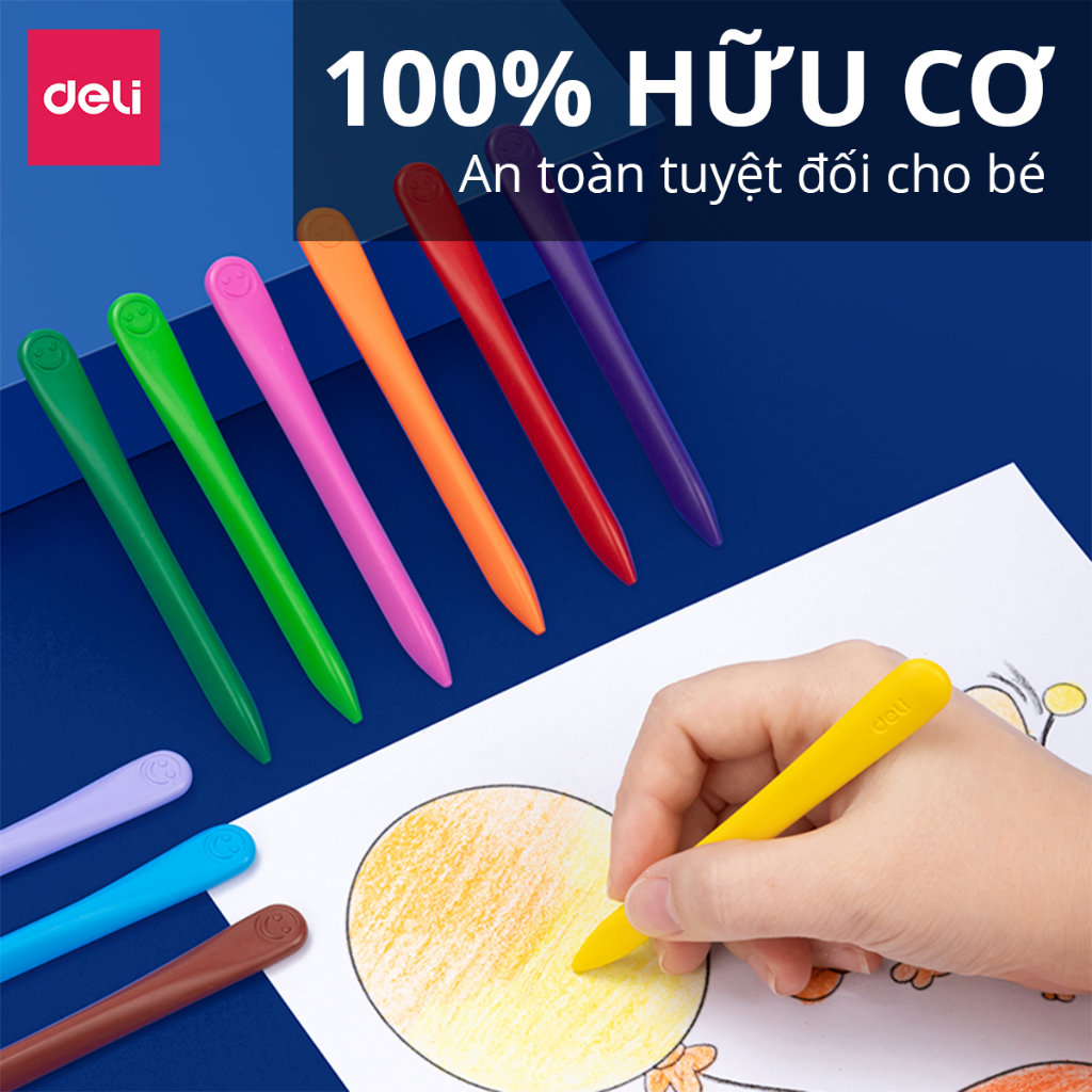Bút sáp màu hữu cơ gấu con Deli - An toàn cho bé, không vấy bẩn tay - 12/24/36/48 màu - Tô màu, vẽ tranh học sinh trẻ em