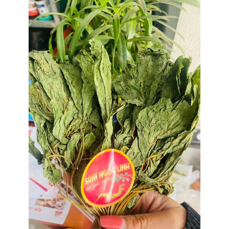 Lá sâm khô(Sâm ngọc linh) sấy thắng hoa giữ nguyên được màu xanh(100gr)