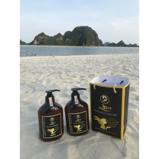 dầu gội xả