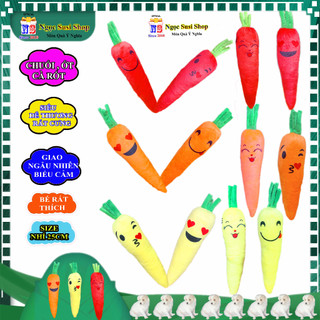 THÚ NHỒI BÔNG SIZE NHÍ 25CM HÌNH CÀ RỐT TRÁI CHUỐI TRÁI ỚT SIÊU CƯNG CHO BÉ CẦM CHƠI - đồ chơi GIAO NGẪU NHIÊN BIỂU CẢM
