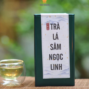 Trà lá sâm ngọc linh sấy lạnh đóng hộp thiếc 100gr