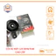 Còi KAMTHAI 12V còi xe máy, xe điện kingthai kêu cực hay THÙY LINH TOOLS
