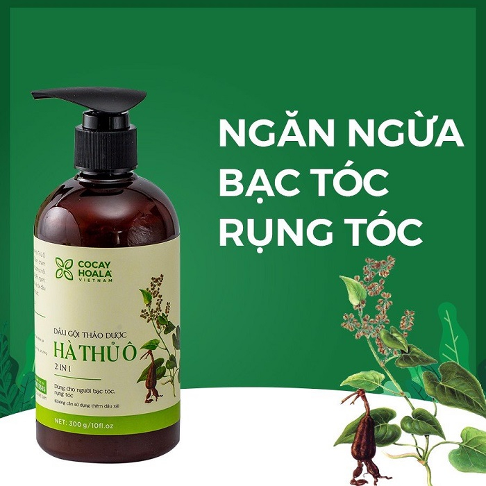 (Đã bán 32) Dầu gội thảo dược Hà thủ ô 2in1 giảm ngứa da đầu, giảm rụng tóc bạc tóc, làm sạch gàu Cocayhoala