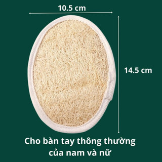 Bông Tắm Xơ Mướp Tự Nhiên Ovan Cỡ Lớn, Sơ Mướp Tắm Tẩy Tế Bào Chết, Chà Lưng, Xuất Khẩu