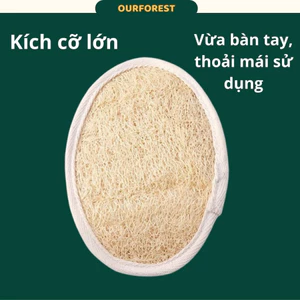 Bông Tắm Xơ Mướp Tự Nhiên Ovan Cỡ Lớn, Sơ Mướp Tắm Tẩy Tế Bào Chết, Chà Lưng, Xuất Khẩu