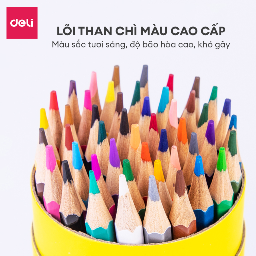 [TOP1 GIÁ SỈ] Bút Chì Màu Gốc Dầu Dạng Cốc/Lon Deli - 12/24/36/48 Màu Sắc Tươi Sáng Không Dễ Gãy Màu Chì Học Sinh Tô Màu