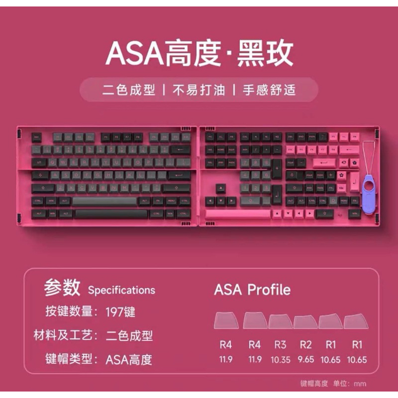 [GIAO NGAY] Bộ Keycap Akko PBT doubleshot ASA | Fullset | Shopee Việt Nam