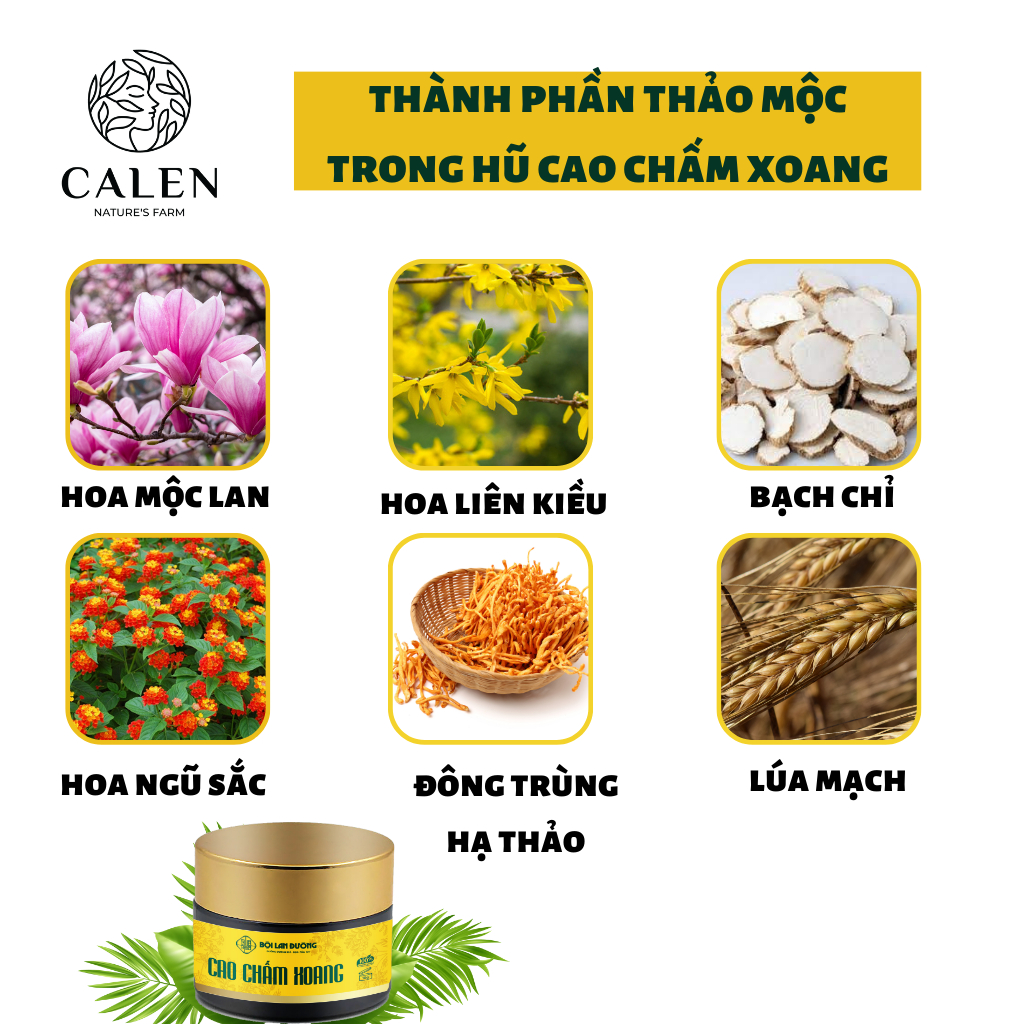 Cao bôi xoang Calen Nature Farm d.ứttt điểm xoang mãn tính, xoang cấp tính, đau xoang, nhức mũi, đọng dờm, chảy nước mũi