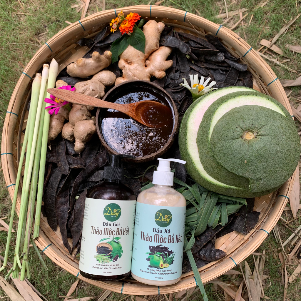 Dầu gội bồ kết thảo dược cô đặc Daisy giúp tóc suông mượt, giảm hư tổn, gãy rụng và kích thích mọc tóc