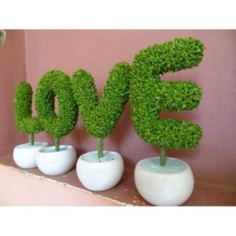50 gam hạt giống cỏ may mắn ❣️Cực Kỳ Dễ Trồng, nhanh chơi vô cùng ý nghĩa