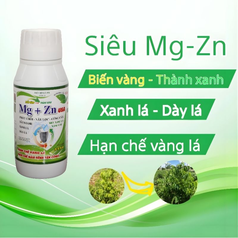 Siêu Mg-Zn Biến Vàng Thành Xanh, Siêu xanh lá chai 500ml