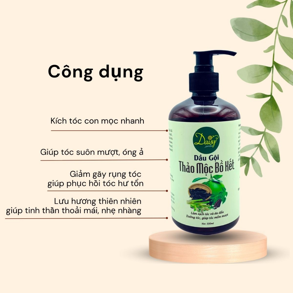 Dầu gội bồ kết thảo dược cô đặc Daisy giúp tóc suông mượt, giảm hư tổn, gãy rụng và kích thích mọc tóc