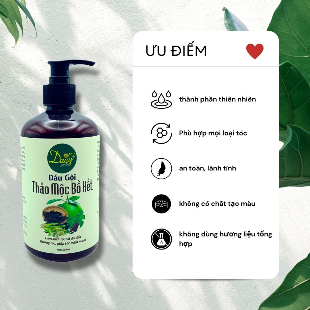 Dầu gội bồ kết thảo dược cô đặc Daisy giúp tóc suông mượt, giảm hư tổn, gãy rụng và kích thích mọc tóc