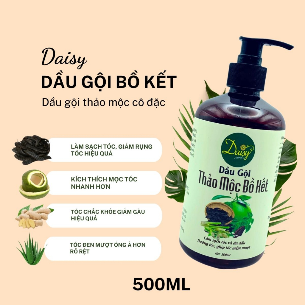 Dầu gội bồ kết thảo dược cô đặc Daisy giúp tóc suông mượt, giảm hư tổn, gãy rụng và kích thích mọc tóc