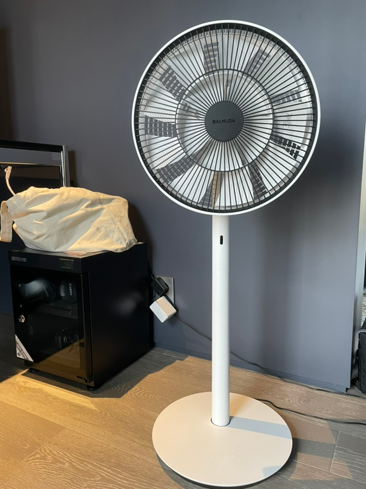 BALMUDA 家庭用扇風機 EGF-1700-WG バルミューダ 扇風機 EGF-1700-DK