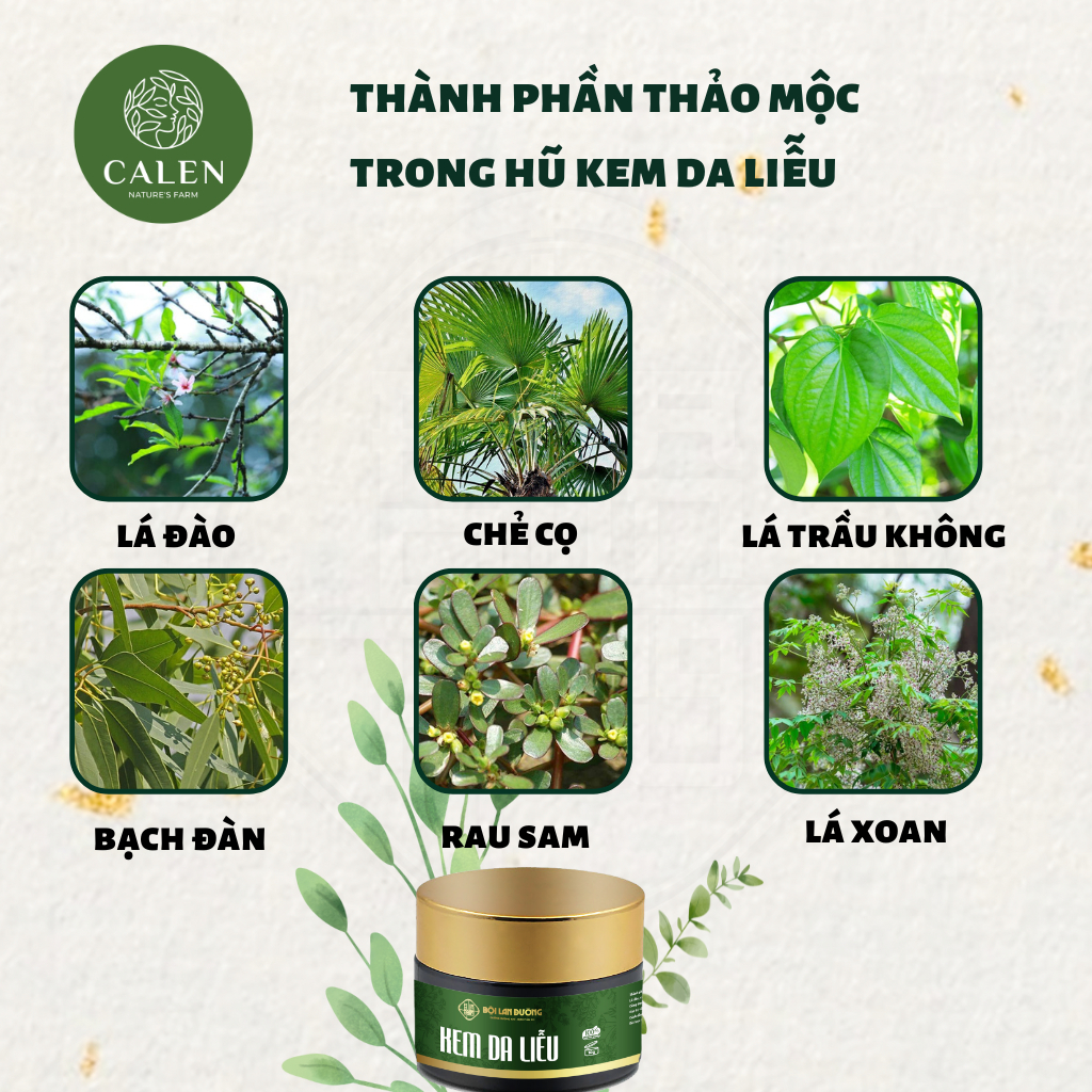 [Ngứa ghẻ lâu năm] Kem bôi da nấm ngứa tổ đỉa hắc lào mề đay zona ghẻ nước kem bôi da muỗi đốt, chữa nhiều nơi