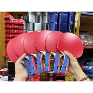 Vợt bóng bàn dán kết hợp cốt Loki Rxton 1 và mặt vợt các loại
