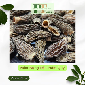 Nấm bụng dê 💎Nấm quý hiếm💎 (Morchella esculenta)