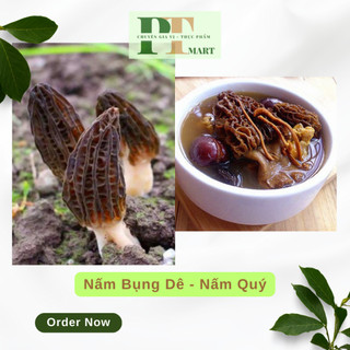 Nấm bụng dê 💎Nấm quý hiếm💎 (Morchella esculenta)