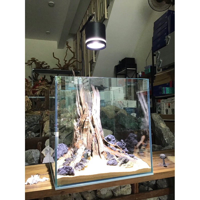 Led Rọi KAOKUI KK-F06-3 chế độ- 24W RGB| Đèn LED rọi cho hồ Biotop, hồ ...