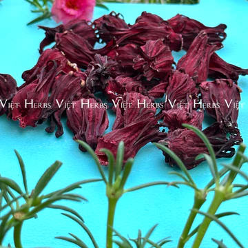 Hoa hibiscus atiso đỏ khô 100g, 200g Việt Herbs giúp hạ huyết áp, giảm cân, giải khát, trà dâm bụt