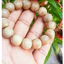 Vòng tay tròn đơn trầm hương tốc kiến Quảng nam- 10 12 14 16 ly- Bình An-May mắn-tài lộc-Trầm Hương Hội an