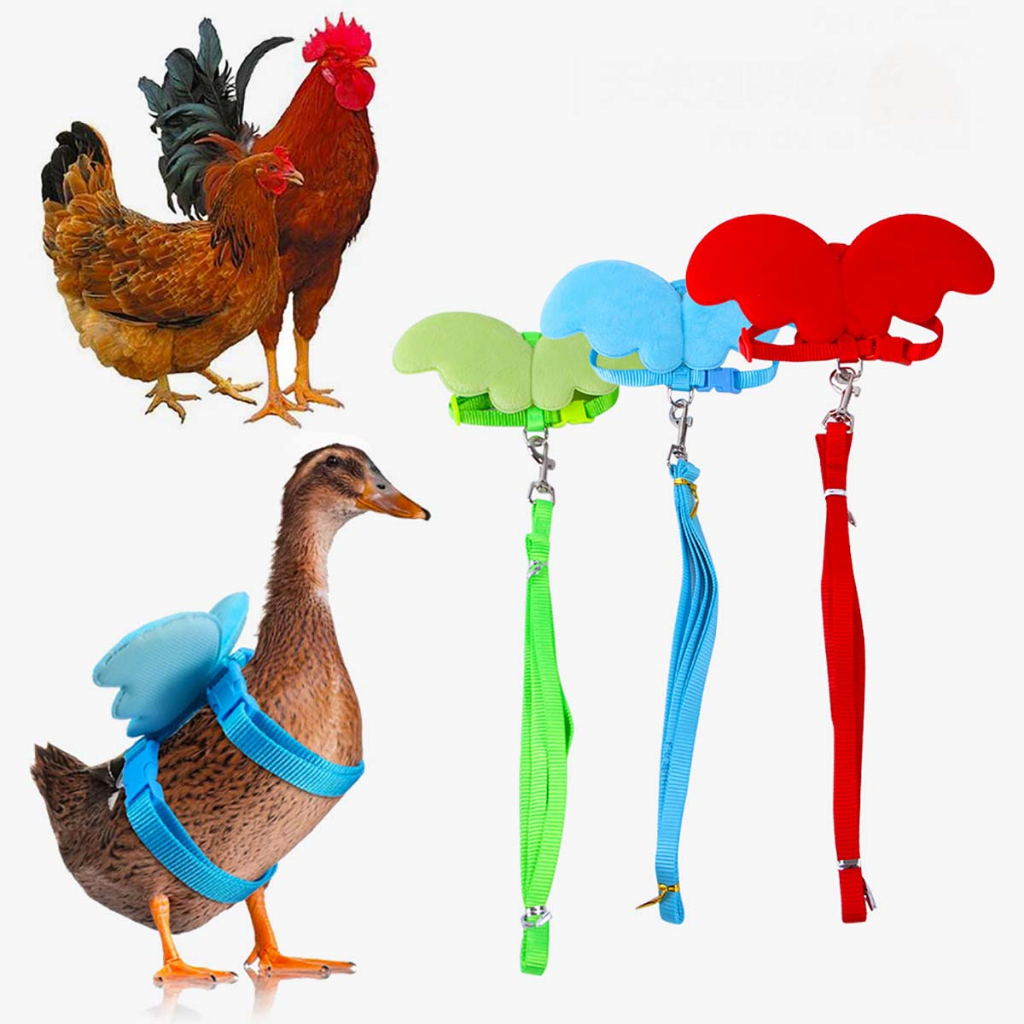 Dây Dắt Cánh Thiên Thần Hamster Bọ Ú Thỏ Sóc Bay Đất Chó Đi Dạo Mèo Dài Con Nhỏ Thú Cưng Chơi Show 9 Màu Đỏ Tiện Lợi