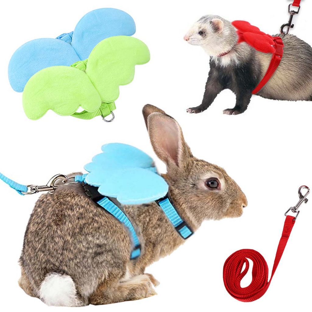 Dây Dắt Cánh Thiên Thần Hamster Bọ Ú Thỏ Sóc Bay Đất Chó Đi Dạo Mèo Dài Con Nhỏ Thú Cưng Chơi Show 9 Màu Đỏ Tiện Lợi