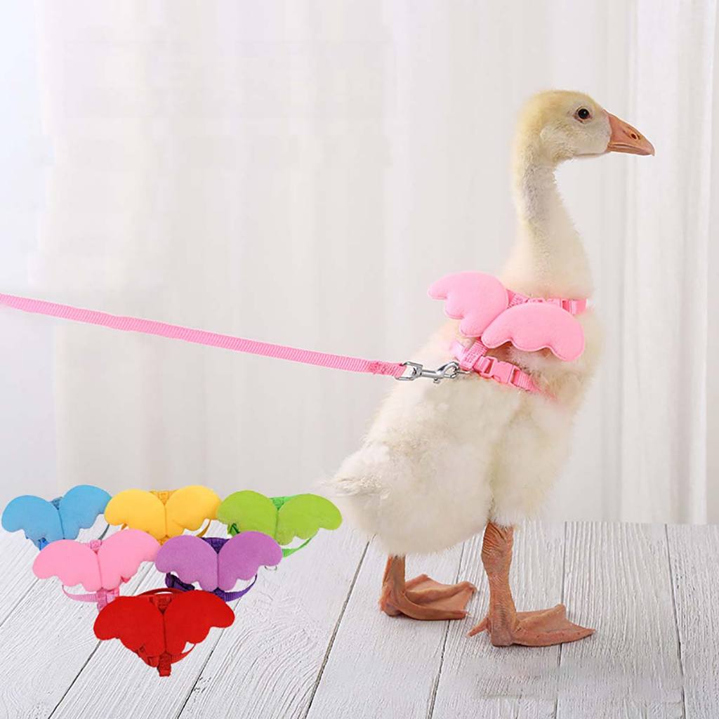 Dây Dắt Cánh Thiên Thần Hamster Bọ Ú Thỏ Sóc Bay Đất Chó Đi Dạo Mèo Dài Con Nhỏ Thú Cưng Chơi Show 9 Màu Đỏ Tiện Lợi