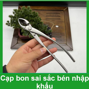 CẠP XÉO VÀ KẺO CẮT TỈA Cây Cảnh Bonsai Sắc Bén - Thép trắng Nguyên Khối Siêu sắc bén