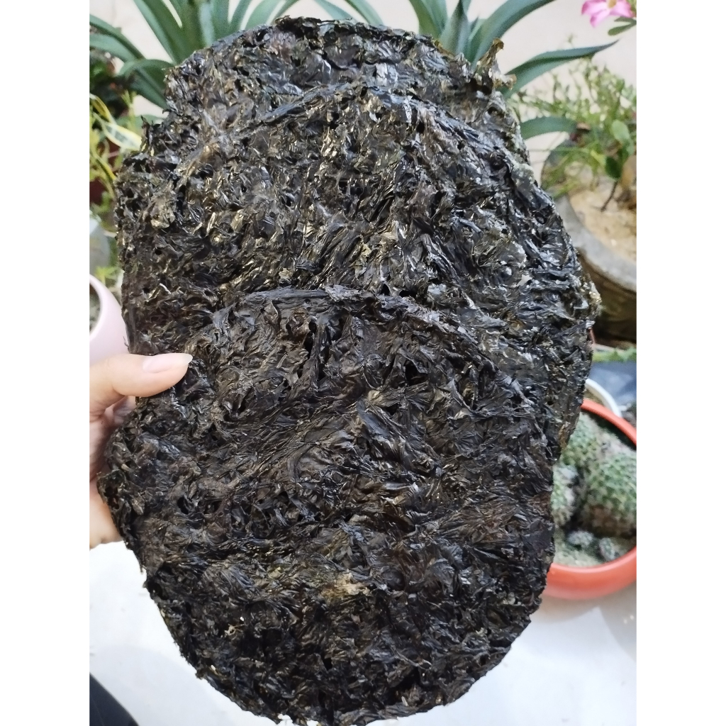 ONG MỨT (Rong biển đen) Gói 100g- Rong khô hoàn toàn Tự Nhiên 100% ...