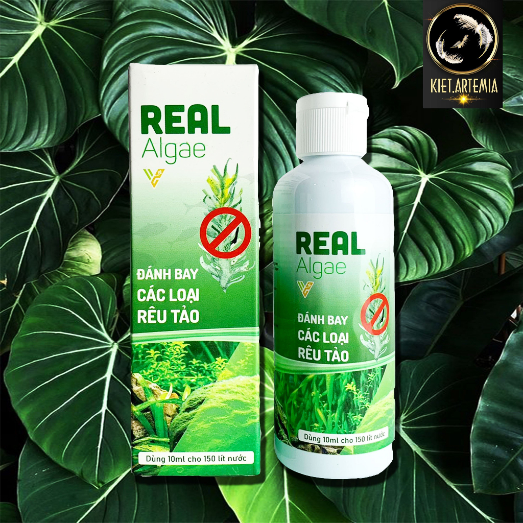 Diệt Rêu Tảo Bể Cá Cảnh, Chuyên Xử Lý Mọi Loại Rêu Tảo Hại Cứng Đầu, Xử ...