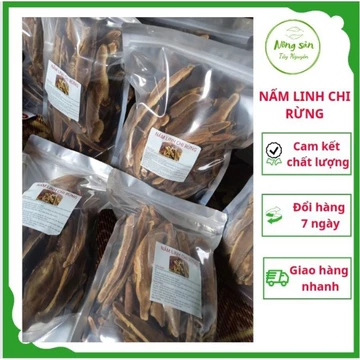 [Cam Kết Y Hình] 1kg Nấm linh chi rừng thái lát/nấm linh chi/ linh chi rừng