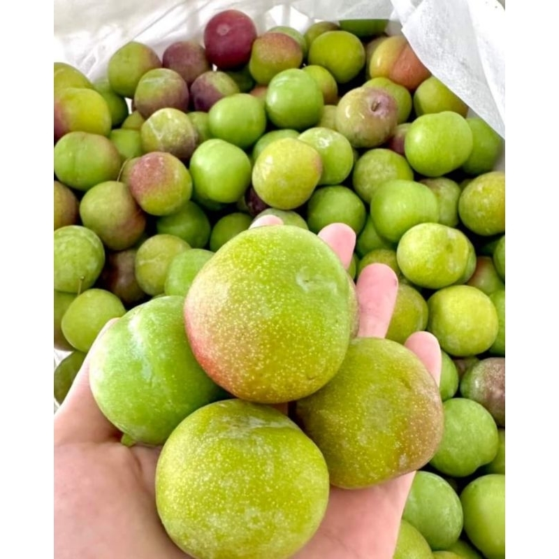 Mận Cơm hay còn gọi mà mận róc hạt | Shopee Việt Nam
