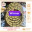 Bộ lá côn Winner, lá bố nồi Winner hàng FCC cao cấp Thùy Linh Tools