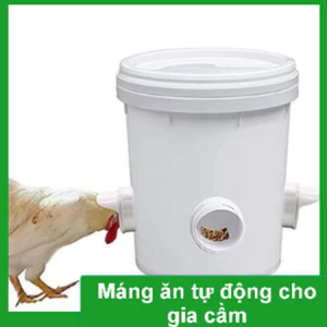 MÁNG ĂN TỰ ĐỘNG Cho gia cầm gà,vịt,ngan......dễ dàng lắp đặt giá thành cạnh tranh