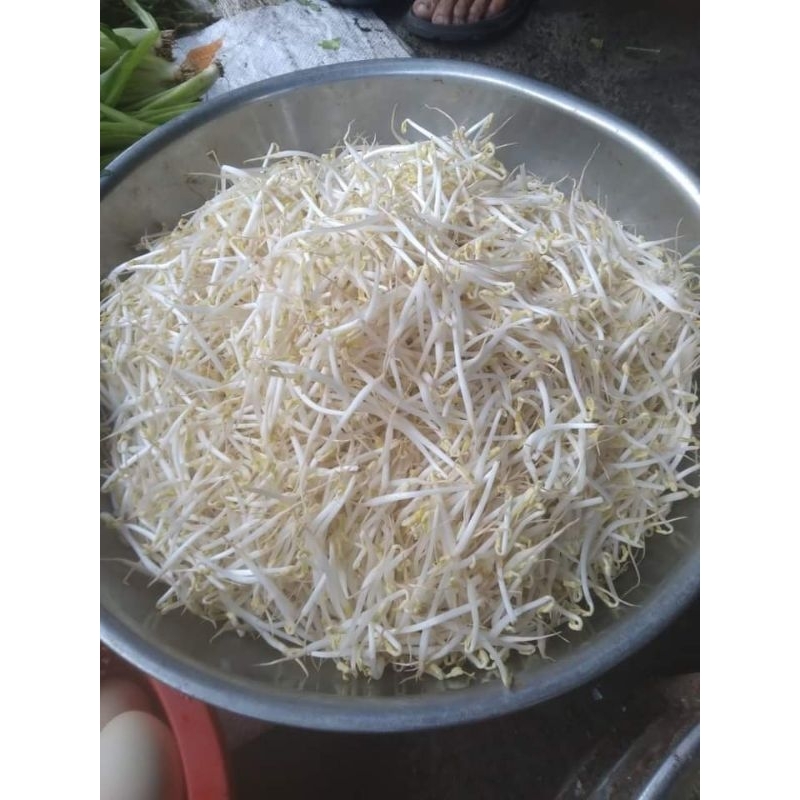 100 gam ( hai gói )hạt giống đậu làm rau mầm giá sạch, cực dễ làm