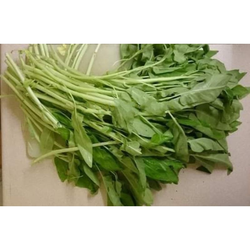 Hạt Giống Rau Muống Tuyển Chọn Cực Ngon, dòn ngon, thu hoạch nhiều lần rất đáng trồng
