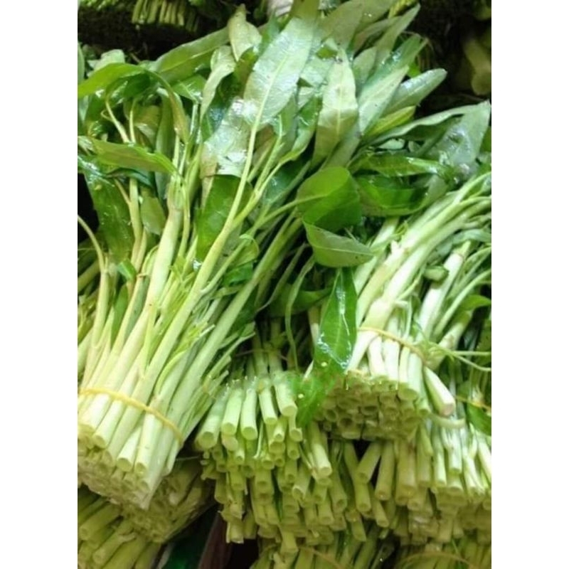 Hạt Giống Rau Muống Tuyển Chọn Cực Ngon, dòn ngon, thu hoạch nhiều lần rất đáng trồng