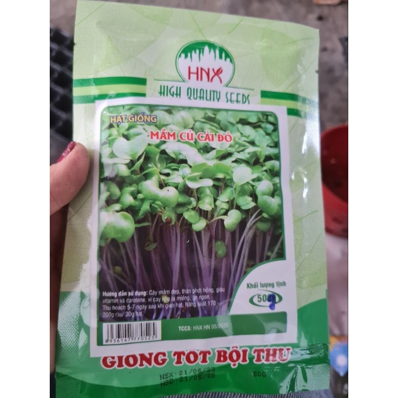 HẠT GIỐNG RAU MẦM CỦ CẢI ĐỎ | Shopee Việt Nam