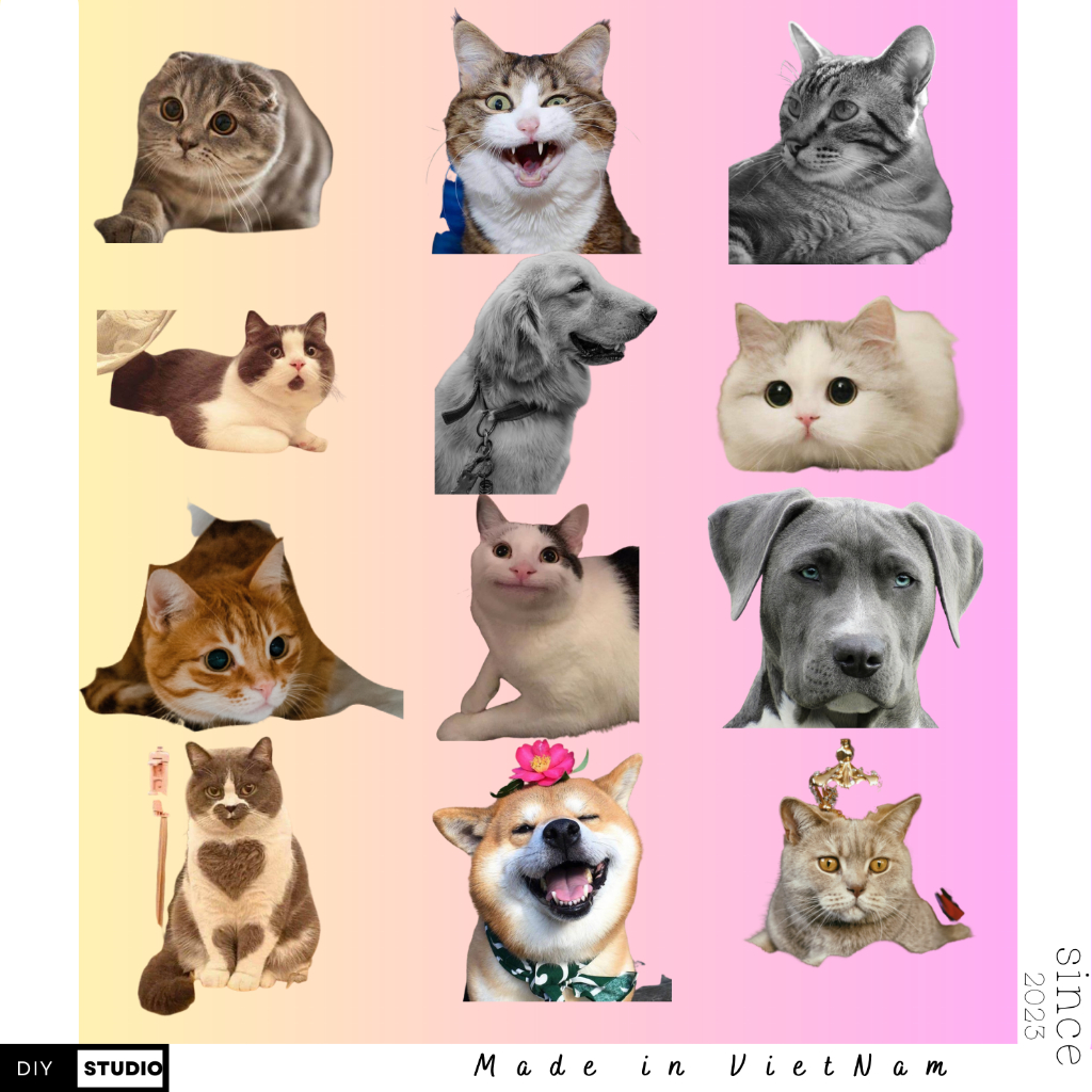 100 sticker chó mèo meme vui nhộn trang trí ly nước laptop vali mẫu mới cập nhật 2026