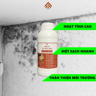Sơn Watix Tẩy Rêu Diệt Nấm Mốc Không Làm Hỏng Bề Mặt Vật Liệu