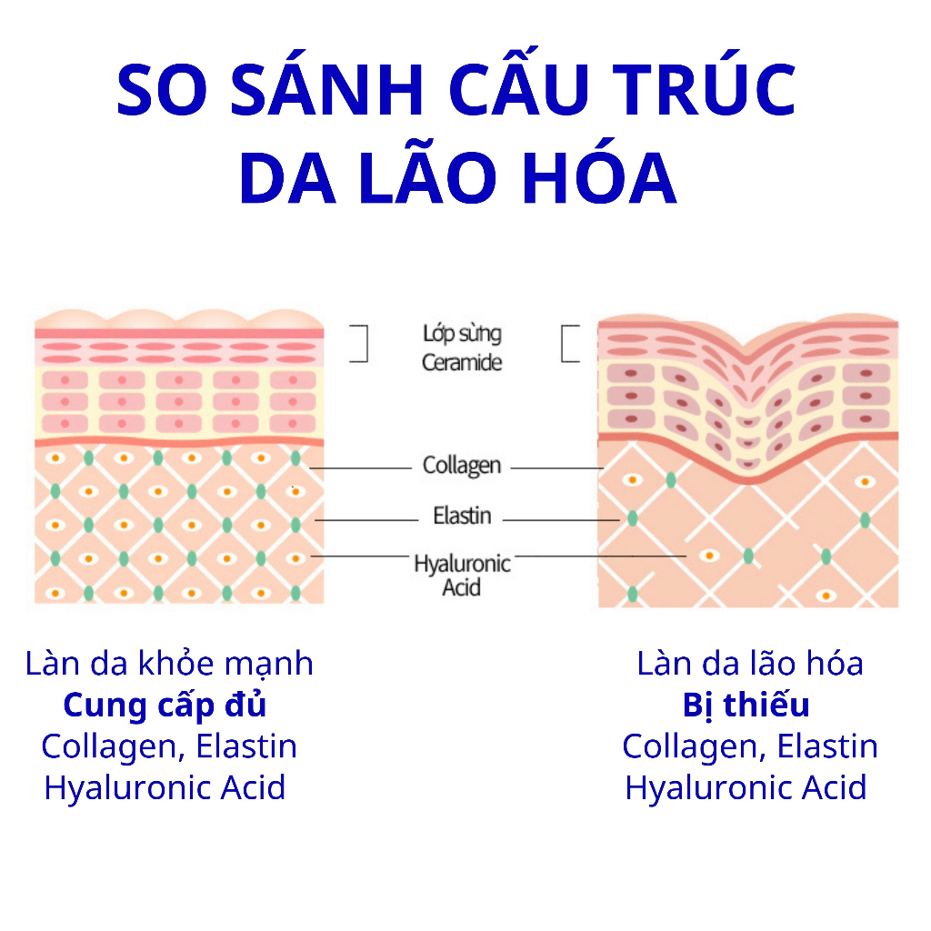 Ảnh Combo 3 Thành Phần Quan Trọng Cho Da Chống Lão Hóa, Giảm Chảy Xệ, Cấp Ẩm Cho Da30Viên/Hộp 3