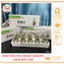 Bóng pha Dream 12v-35w và bóng hậu vàng dành cho xe máy Dream siêu sáng THÙY LINH TOOLS