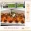 Bóng pha Dream 12v-35w và bóng hậu vàng dành cho xe máy Dream siêu sáng THÙY LINH TOOLS