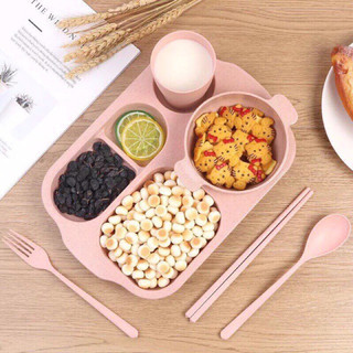 Khay đựng cơm lúa mạch gồm 6 chi tiết, khay chia nhiều ngăn